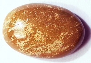 100 % NATÜRLICHER BRAUNER BILDJASPIS 21,00 CT LOSER EDELSTEIN mit kostenlosem Geschenk - Bild 1 von 6