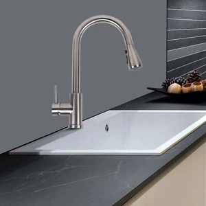 Grifo de fregadero de cocina rociador cromo cepillado con tubo de agua de entrada fría caliente - Imagen 1 de 7