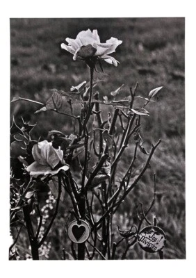 ‘New Dawn Fades’ 6 x 8 Inch Giclee Print Ian Curtis Joy Division - Image 1 of 3