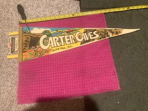 VTG Carter Caves Souvenir FULL-SIZE Pennant Flag Olive Hill Kentucky - SHIP FAST - Picture 1 of 5