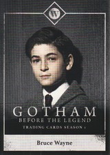 2016 Cryptozoic Gotham Season 1 Character Bios Card #C3 Bruce Wayne