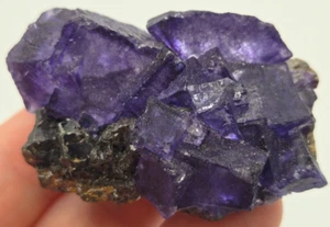 +++ FLUORITE, SPHALERITE ELMWOOD MINE, CARTHAGE, SMITH COUNTY, TENNESSEE +++ - Picture 1 of 8