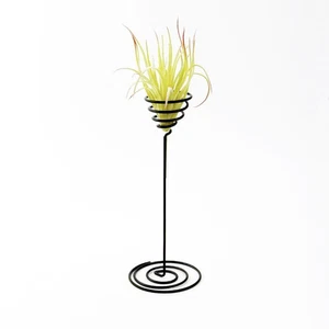 Contenedor de hierro con soporte para plantas de aire soporte para tillandsia maceta de mesa 3 piezas - Imagen 1 de 12