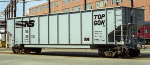 HO156 - Norfolk Southern Top Gon DECALS  - ShellScale Decals - Picture 1 of 1