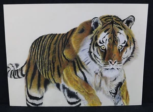 Original Daniel Bovell Kunst JAGD TIGER Zeichnung Buntstift Autistischer Künstler - Bild 1 von 18