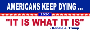 "IT IS WHAT IT IS" DUMP TRUMP (8" x 3") VINYL BUMPER STICKER - POLITICAL BIDEN - Picture 1 of 1