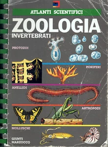 Atlanti Scientifici - ZOOLOGIA, Invertebrati - Giunti Marzocco, 1986 - Foto 1 di 1