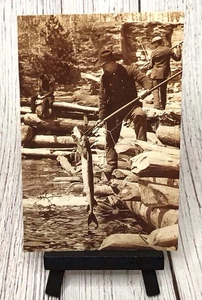Fishing Spearing Sturgeon in the Lower Dells, Wisconsin Dells, WI Postcard - Picture 1 of 4