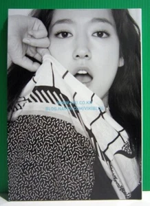 Park Shin Hye Official Photo Catalog VIKI The Judge From Hell Kpop Kstar Kwave - Picture 1 of 2