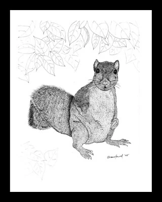 Arte original - Dibujo a tinta en blanco y negro - Realismo - Ardilla marrón Foto 1 de 2