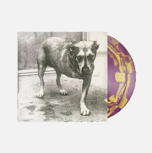 Alice in Chains 2LP Purple & Yellow Swirl Self-Titled D2C Excl. Vinyl ~ PRESALE! - Foto 1 di 1