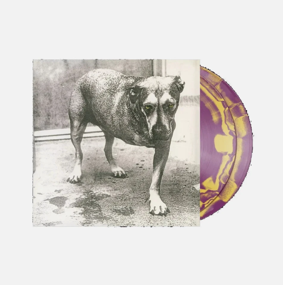 Alice in Chains 2LP Purple & Yellow Swirl Self-Titled D2C Excl. Vinyl ~ PRESALE! - Image 1 of 1