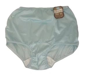 Greenco Maid Vintage Pastel Blue Granny Panties Silk n Hand Nylon Size 6 NEW - Picture 1 of 4