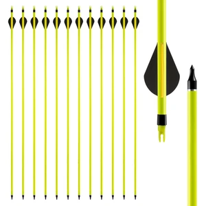 Archery 30'' ID6.2 SP600 Nock vanes Mix Carbon Arrows Compound Bow Hunting 12pcs - Imagen 1 de 5