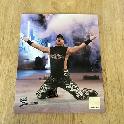 Archivo de fotos de lucha libre 8x10 con licencia oficial WWE SHAWN MICHAELS WWF WCW HBK Foto 1 de 4
