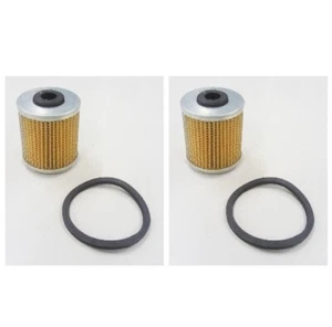 Filtre Diesel pour Moteur Agria 2800 Hatz E780 Diesel 1 Cylindre Double Filtre - Photo 1/2