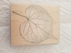 2001 Hero Arts Mountains Aspen Leaf Impressions Rubber Stamp - Picture 1 of 4