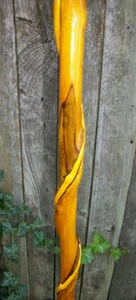 43" Hand Carved Spiral Mulberry Walking Stick Cane w/ Brass Skull Top Handle #28 - Picture 1 of 16