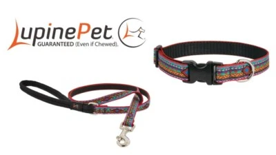 LupinePet Originals EL PASO Dog Collar or Leash XS Large Manufacturer Guarantee