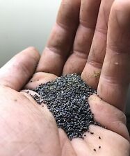 Seeds(mix)