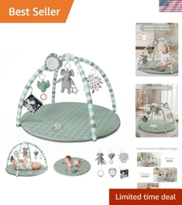 All-in-One Tummy Time Mat with 6 Toys - Easy Clean & Safe Play for Babies - Picture 1 of 10