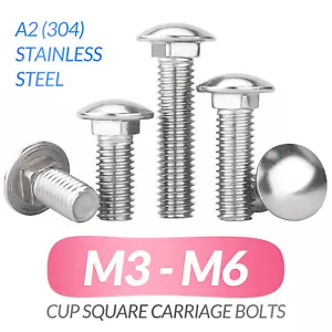 M3 M4 M5 M6 A2 ACERO INOXIDABLE TAZA TORNILLOS CUADRADOS PERNOS CARRO PERNO - Imagen 1 de 53