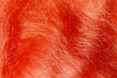 PECHETRUITE 2x1g Haar MOHAIR Dubbing ROT Dekoration Kreation Fly Tying Red