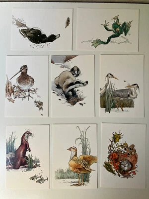 Scoutisme - série complète 8 cartes postales Frank - animaux réserves naturelles - Photo 1/3