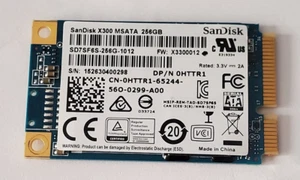 Sandisk X300 MSata 256GB SD7SF6S-256G-1012 - Picture 1 of 2