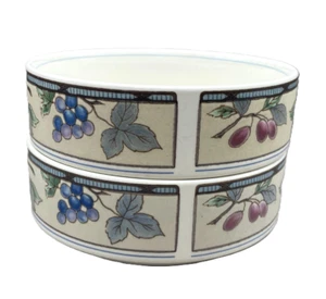 Mikasa Garden Harvest Set of 2 Dessert Fruit Bowls Sauce Dishes Multicolor CAC29 - Picture 1 of 4