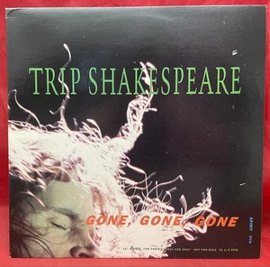 Trip Shakespeare Gone Gone Remix / Spirit Live A&M Promo 12” Vinyl Dan Wilson - Imagen 1 de 2
