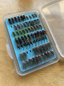 Lote ninfas para pesca: perdigones, larvas tricóptero + CAJA - Imagen 1 de 3