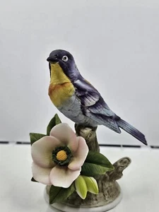 Porcelana curruca pájaro Parula Andrea de Sadek Japón 8627 - Imagen 1 de 3