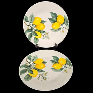 Set of 2 Royal Norfolk Yellow Lemon Blossoms Leaves Branches 10.5" Dinner Plates - Picture 1 of 13