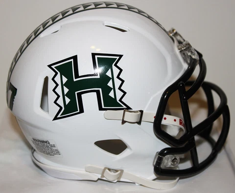 2017 Hawaii Rainbow Warriors Custom Riddell Mini Helmet vs UMass Cover