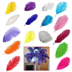 Plumas de avestruz grande pluma para artesanía sombrero artes boda fiesta disfraz decoración - Imagen 1 de 22
