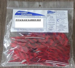 GATEWAY RAYZR 2" RW FEATHERS 50 pk, - Picture 1 of 12