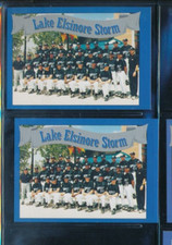 Lot (2) 1996 Multi-Ad #30 Team Checklist Lake Elsinore Storm (DQ38) SWSW6