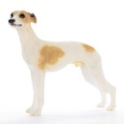Whippet Figurine Hand Painted Statue Tan/White