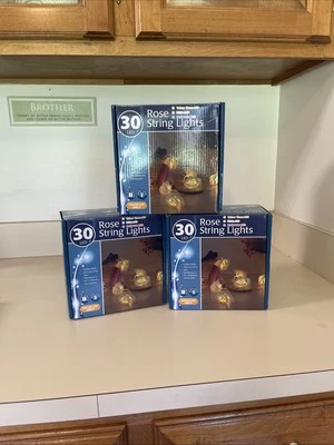 LED Rose Flower Lights 30  String Fairy Indoor Multicolor Light Decor New - Image 1 of 4