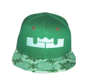 Gorra vintage Lebron James NIKE True King James Navidad Snapback verde 2013 668823 - Imagen 1 de 8