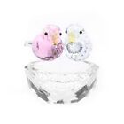1/2 Pcs Shell/Bird Home Decoration Decorations Indoor Crafts Decoration  Home