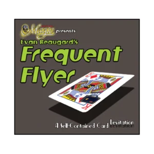 Frequent Flyer by Evan Beaugard - Picture 1 of 1