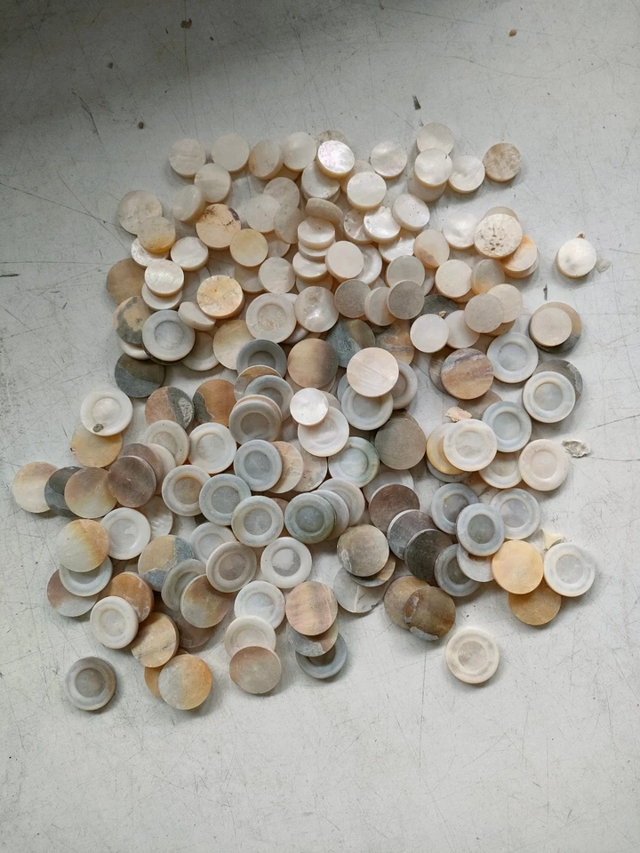 Runde Perlmutter Scheiben - Bild 1 von 1