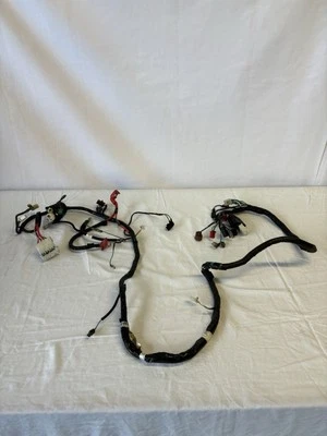 Arnés de cableado OEM SYM RV200, completo sin cortar (sym scooter) Foto 1 de 4