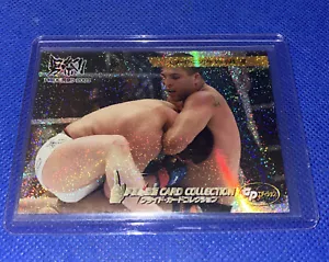 Tarjeta de novato PRIDE FC DSE 2006 lámina de choque radiocontrol Murilo Ninja Rua Akira Shoji - Imagen 1 de 4