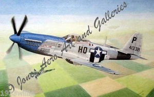 Maj. George E. Preddy Jr.'s P-51D Mustang Cripes A Mighty 3rd by Willie Jones Jr - Picture 1 of 5
