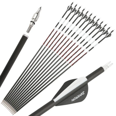 31" Luminous Pure Carbon Arrows SP300-600 2" Vanes Removable Tips Hunting Arrows - Image 1 of 4