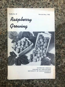Vtg Raspberry Growing College of Agriculture UMass Coop Extenion Service- A29 - Picture 1 of 6