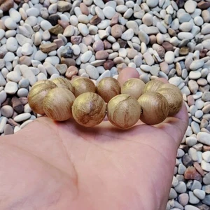 Precioso brazalete de madera de agar Papúa Aquilaria de 18 mm 10 gramos de madera de aloe 13 cuentas #35 - Imagen 1 de 5